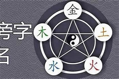 智的五行|智字的五行属什么